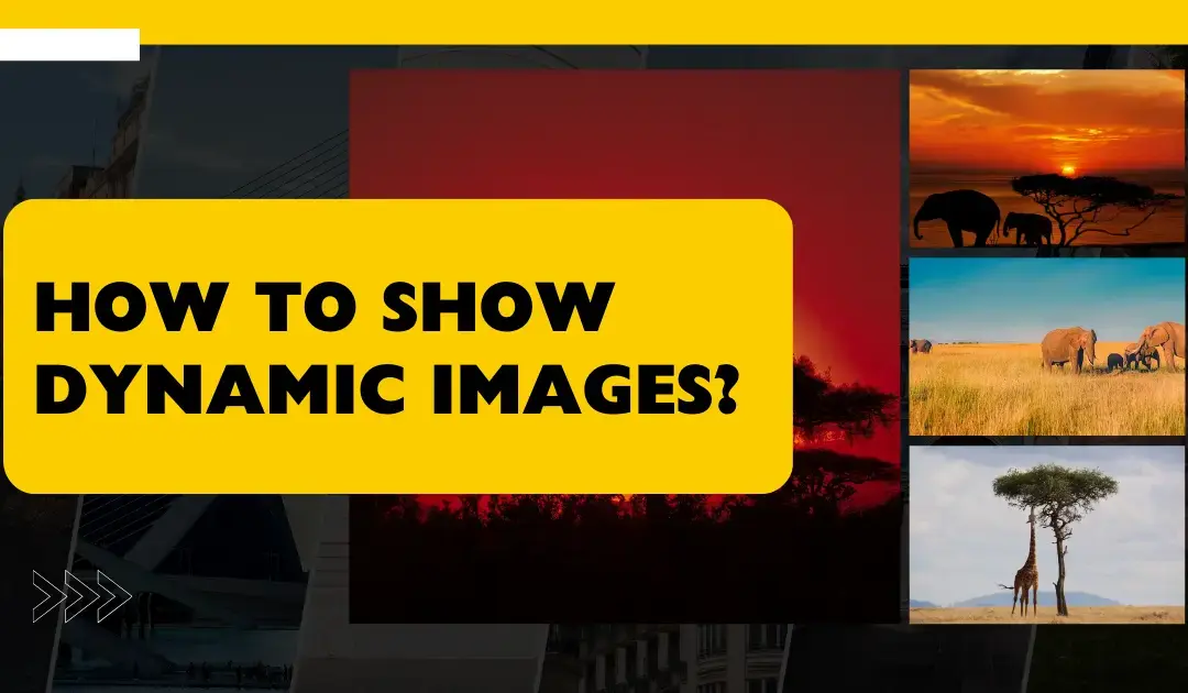 How to show dynamic images?