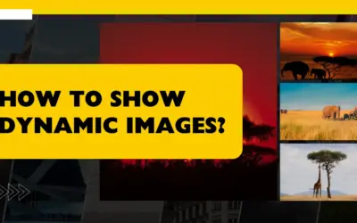 How to show dynamic images?