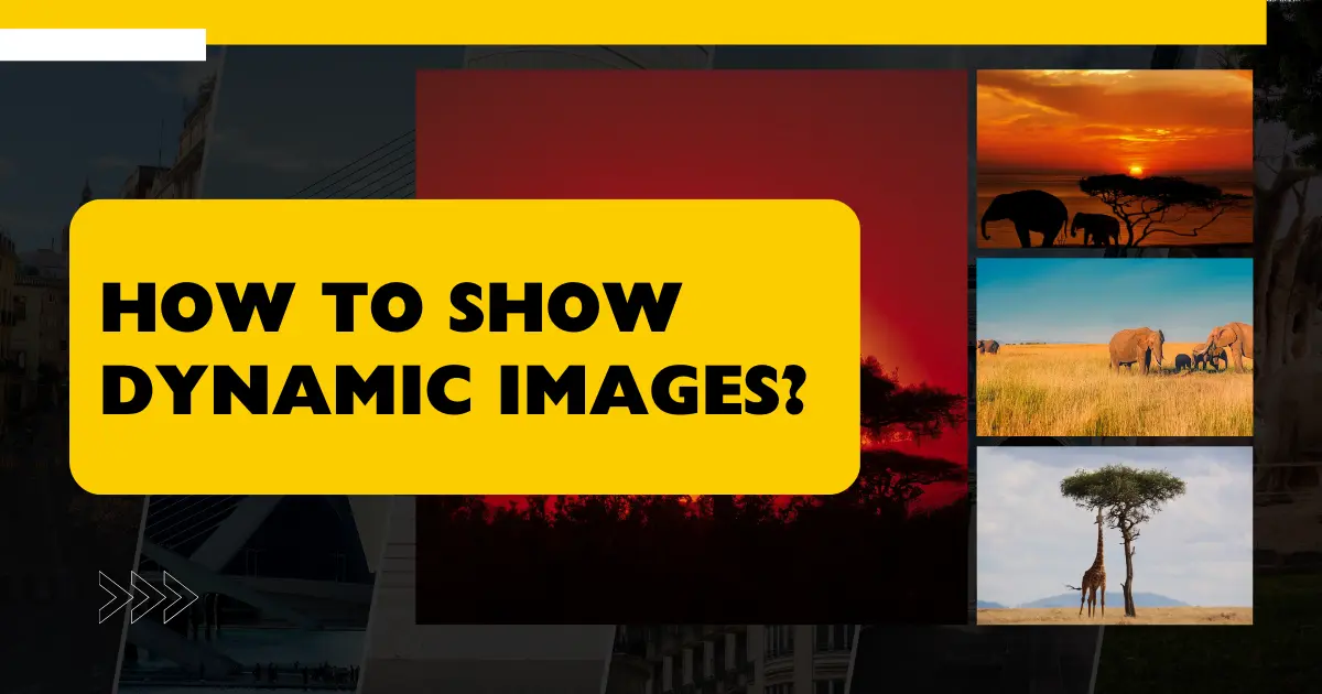 show dynamic image